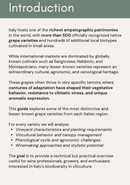 Hidden Grapes of Italy - The Professional Guide to Rare Italian Varieties